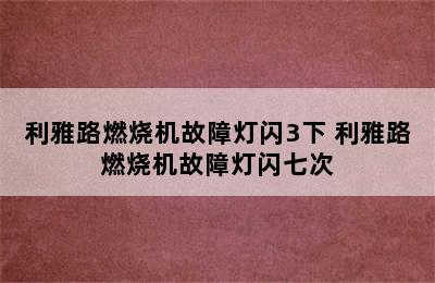 利雅路燃烧机故障灯闪3下 利雅路燃烧机故障灯闪七次